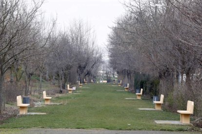 Todo lo que ofrece Villamañán se resume en tres conceptos indispensables para el visitante: historia, patrimonio y tranquilidad. Por eso Villamañán y su municipio hacen acopio de costumbres y fiestas de la esencia de un León que se asoma al sur sin perder el norte que le inspira, que bebe de las vegas mientras se recuesta en la línea del Páramo, que destella verde albahaca en verano y ofrece calma en la mirada entre los viñedos ocres del otoño. Villamañán espera al viajero por un camino que no tiene pérdida.
