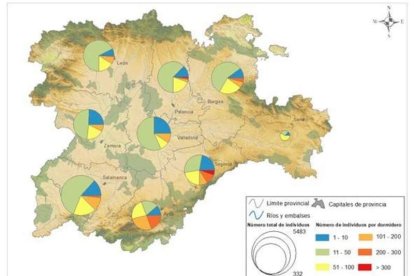 Gráfico sobre el tamaño de los dormideros por provincias.  DL