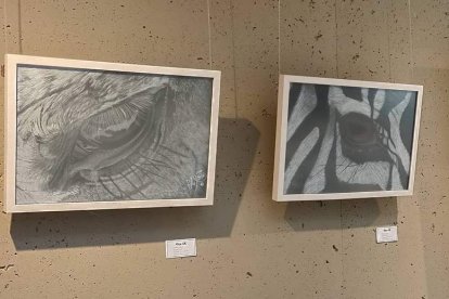 Obras de Ramón Rodríguez sobre ojos de animales. DL