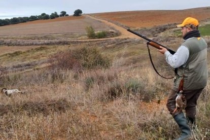 Andrés Tejerina junto a su perra Dama.  DL