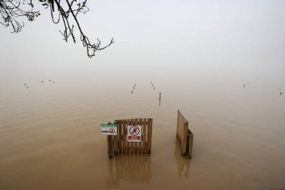 Las imágenes de la tragedia causada por la Dana en Valencia.