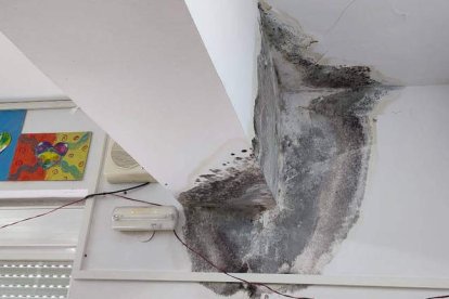 Rotura de un alero del soportal del patio del Trepalio.