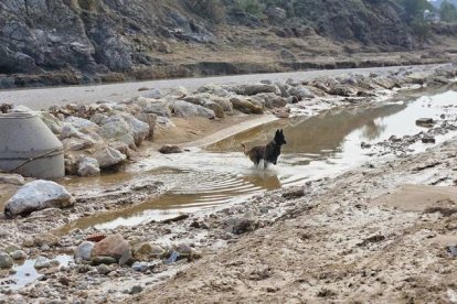 Uruk-Hai en labores de rescate.