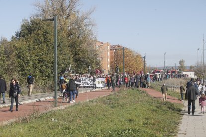 Descripción de la imagen