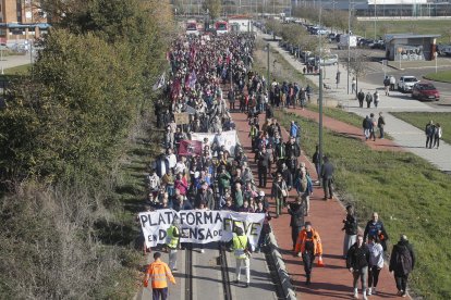 Descripción de la imagen