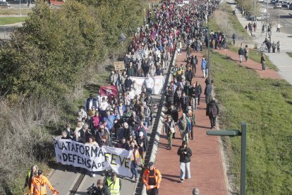 Descripción de la imagen