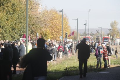 Descripción de la imagen