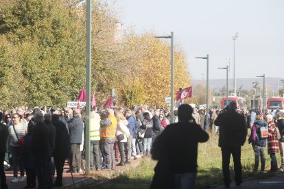 Descripción de la imagen