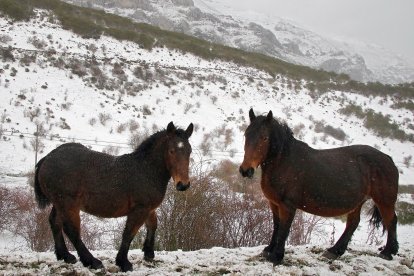 La nieve cubre la montaña de León en el puerto de Pajares y la comarca de los Argüellos.