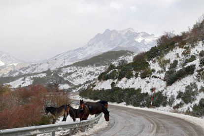 La nieve cubre la montaña de León en el puerto de Pajares y la comarca de los Argüellos.