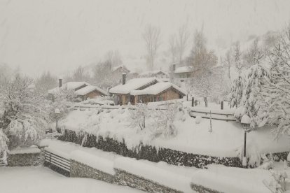 Nieve en Maraña.