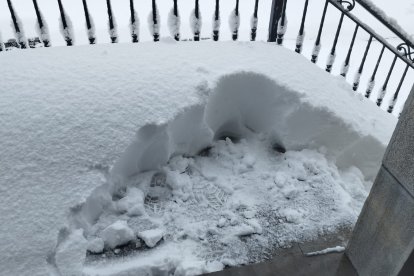 Nieve en Maraña.