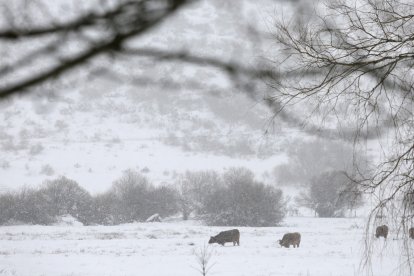 Nieve en Lugueros.