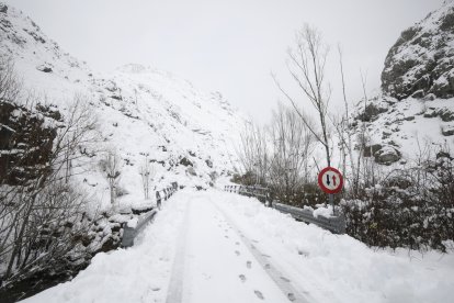 Nieve en Tolibia de Abajo.