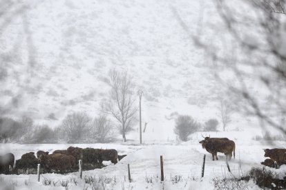 Nieve en Lugueros.