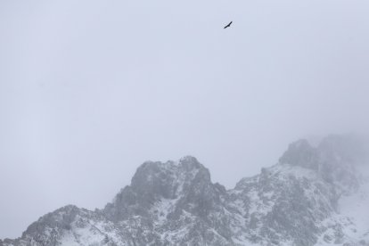 Nieve en Tolibia de Abajo.