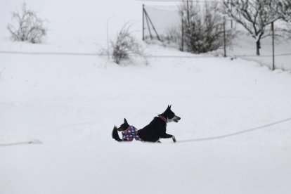 Nieve en Tolibia de Abajo.