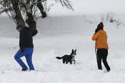 Nieve en Tolibia de Abajo.