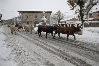 Nieve en Cármenes.