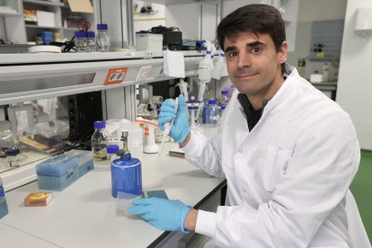 El investigador Saúl Ares en el laboratoria del Centrol Nacional de Biotecnología.
