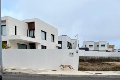 Rigodón avistado corriendo por la zona de los chalets de Eras de Renueva.