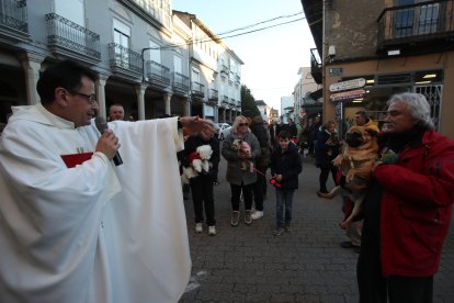 Bendición de los animales por San Antón en Cacabelos y Ponferrada