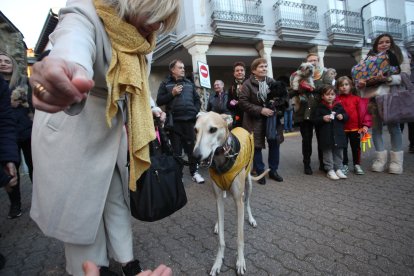 Bendición de los animales por San Antón en Cacabelos y Ponferrada