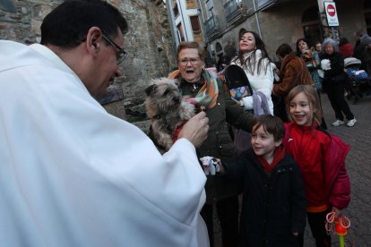 Bendición de los animales por San Antón en Cacabelos y Ponferrada