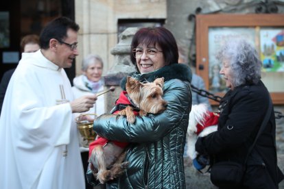 Bendición de los animales por San Antón en Cacabelos y Ponferrada