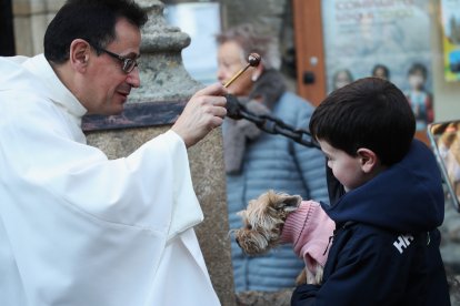 Bendición de los animales por San Antón en Cacabelos y Ponferrada