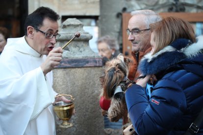 Bendición de los animales por San Antón en Cacabelos y Ponferrada