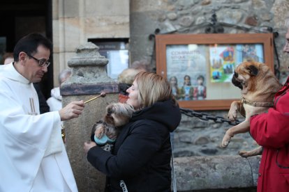 Bendición de los animales por San Antón en Cacabelos y Ponferrada