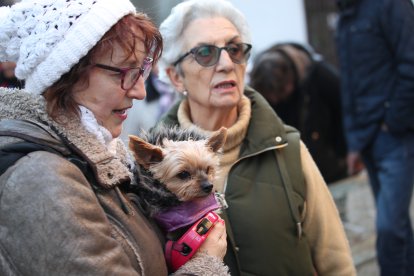 Bendición de los animales por San Antón en Cacabelos y Ponferrada