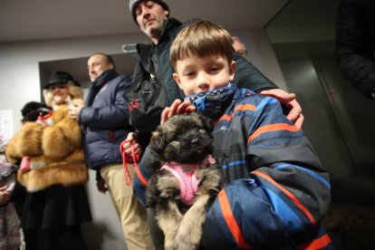 Bendición de los animales por San Antón en Cacabelos y Ponferrada