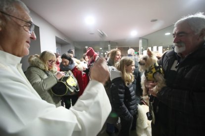 Bendición de los animales por San Antón en Cacabelos y Ponferrada