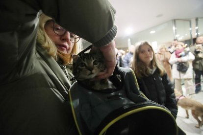 Bendición de los animales por San Antón en Cacabelos y Ponferrada