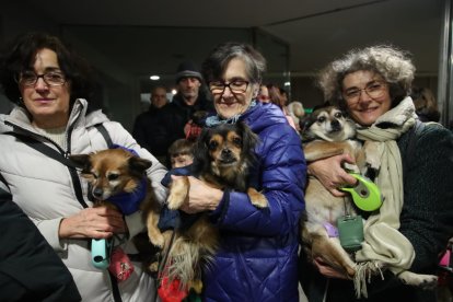 Bendición de los animales por San Antón en Cacabelos y Ponferrada