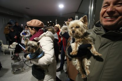 Bendición de los animales por San Antón en Cacabelos y Ponferrada