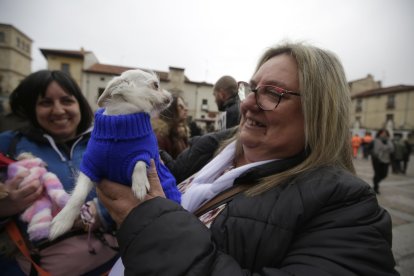Bendición de los animales por San Antón en la plaza de San Marcelo en León.
