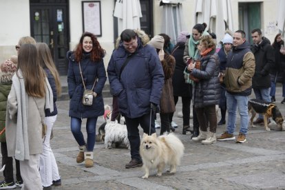 Bendición de los animales por San Antón en la plaza de San Marcelo en León.