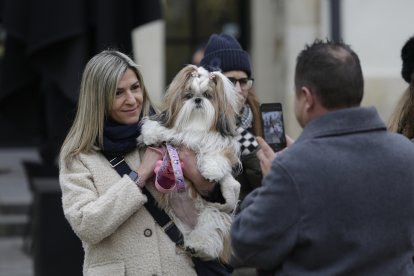 Bendición de los animales por San Antón en la plaza de San Marcelo en León.