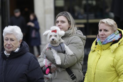 Bendición de los animales por San Antón en la plaza de San Marcelo en León.