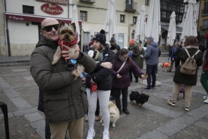 Bendición de los animales por San Antón en la plaza de San Marcelo en León.