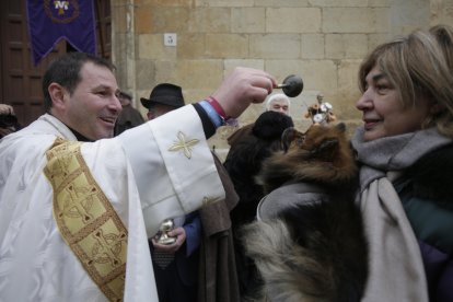 Bendición de los animales por San Antón en la plaza de San Marcelo en León.