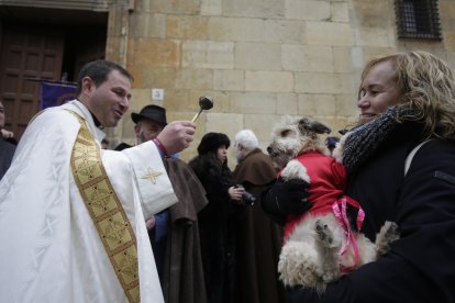 Bendición de los animales por San Antón en la plaza de San Marcelo en León.