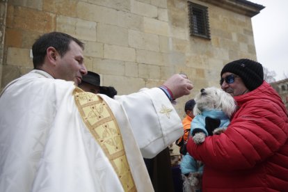Bendición de los animales por San Antón en la plaza de San Marcelo en León.
