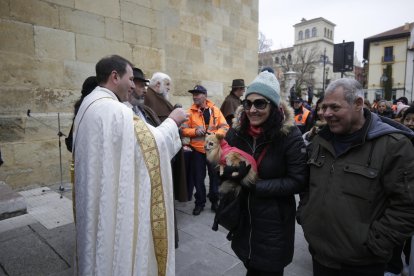 Bendición de los animales por San Antón en la plaza de San Marcelo en León.