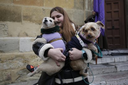 Bendición de los animales por San Antón en la plaza de San Marcelo en León.
