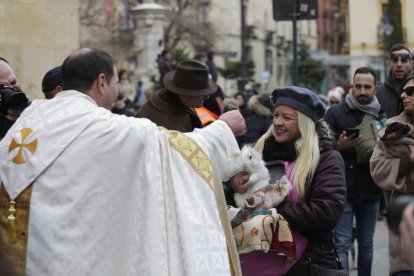 Bendición de los animales por San Antón en la plaza de San Marcelo en León.