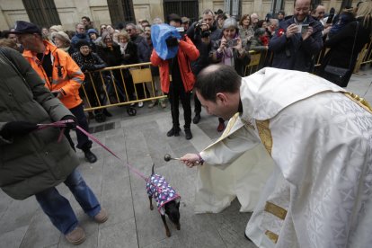 Bendición de los animales por San Antón en la plaza de San Marcelo en León.